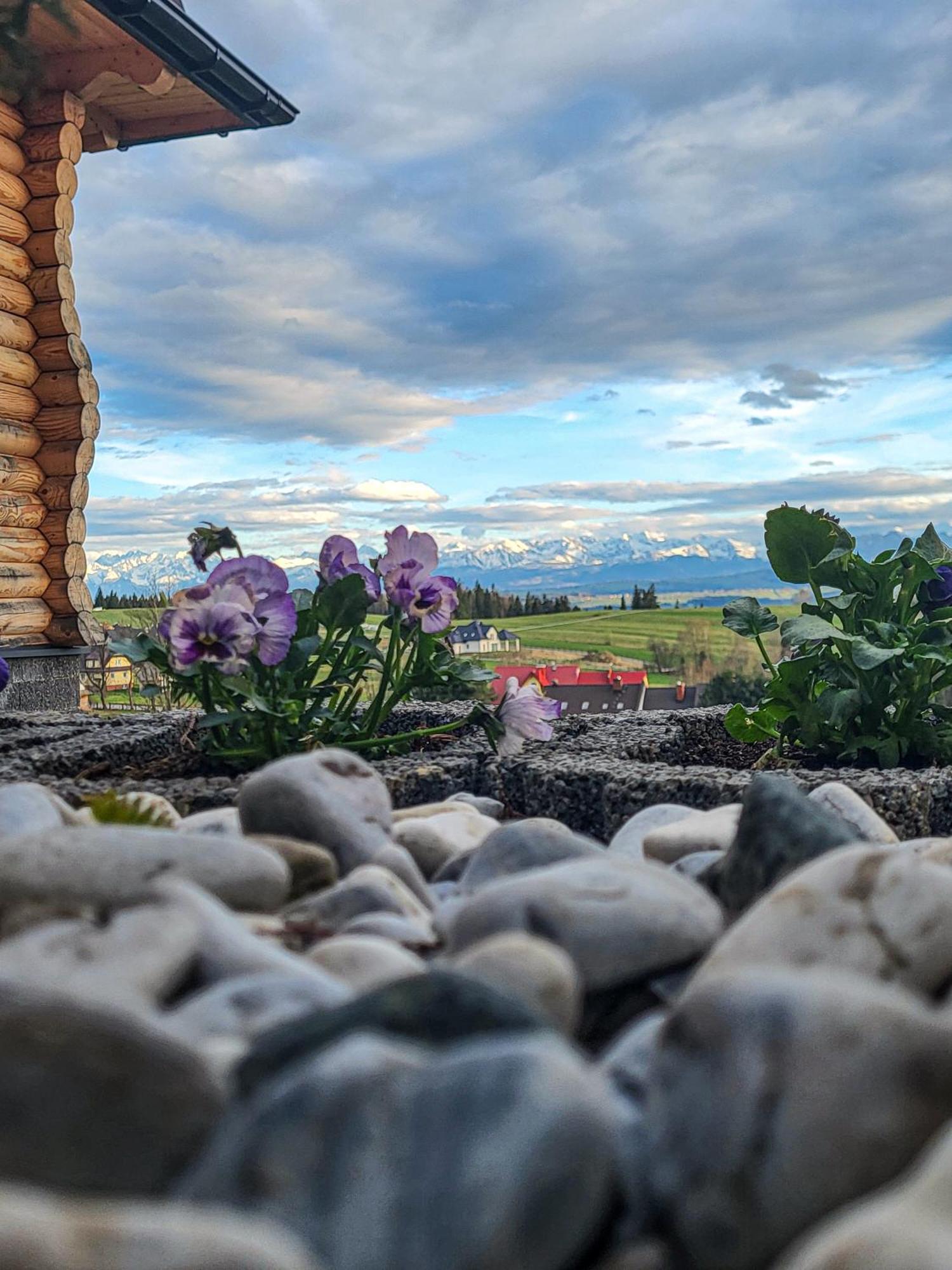 Domki Na Grapie - Z Widokiem Na Tatry Vila Pyzowka Exterior foto